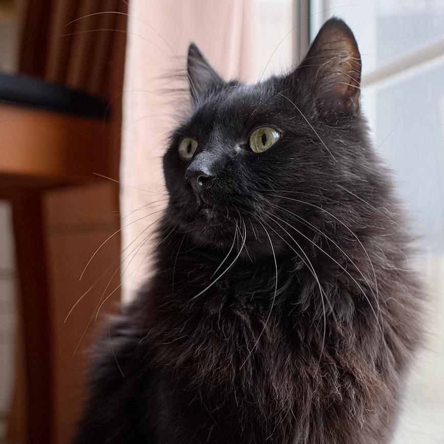 ddb 20131220 010-025