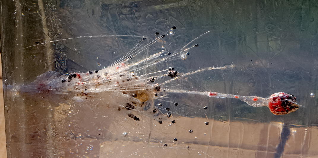 ddb 20131218 010-043