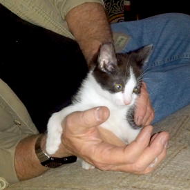 ddb 20140516 010-009