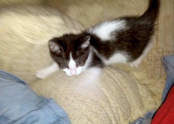 ddb 20140516 010-014