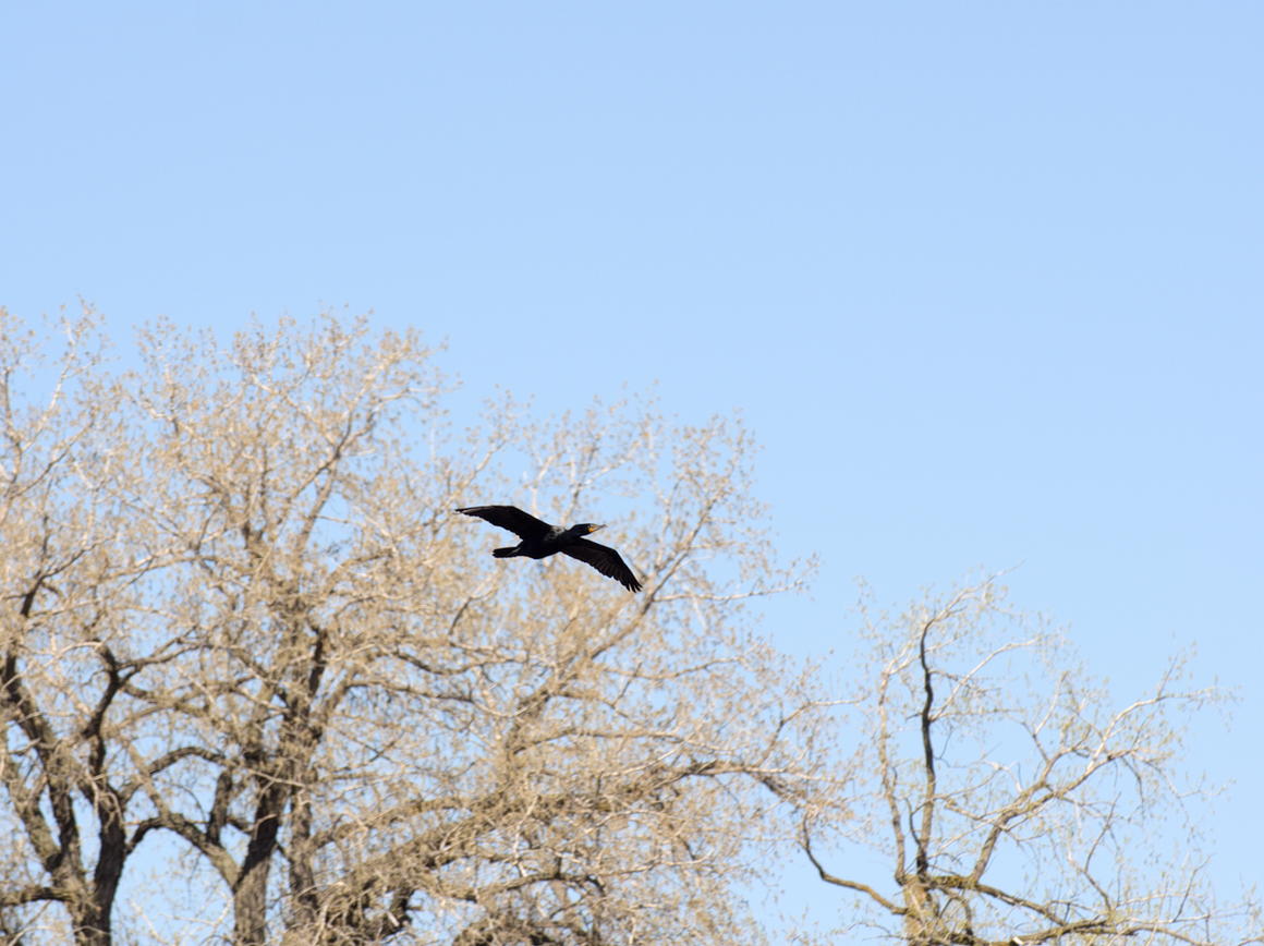 ddb 20140504 010-180