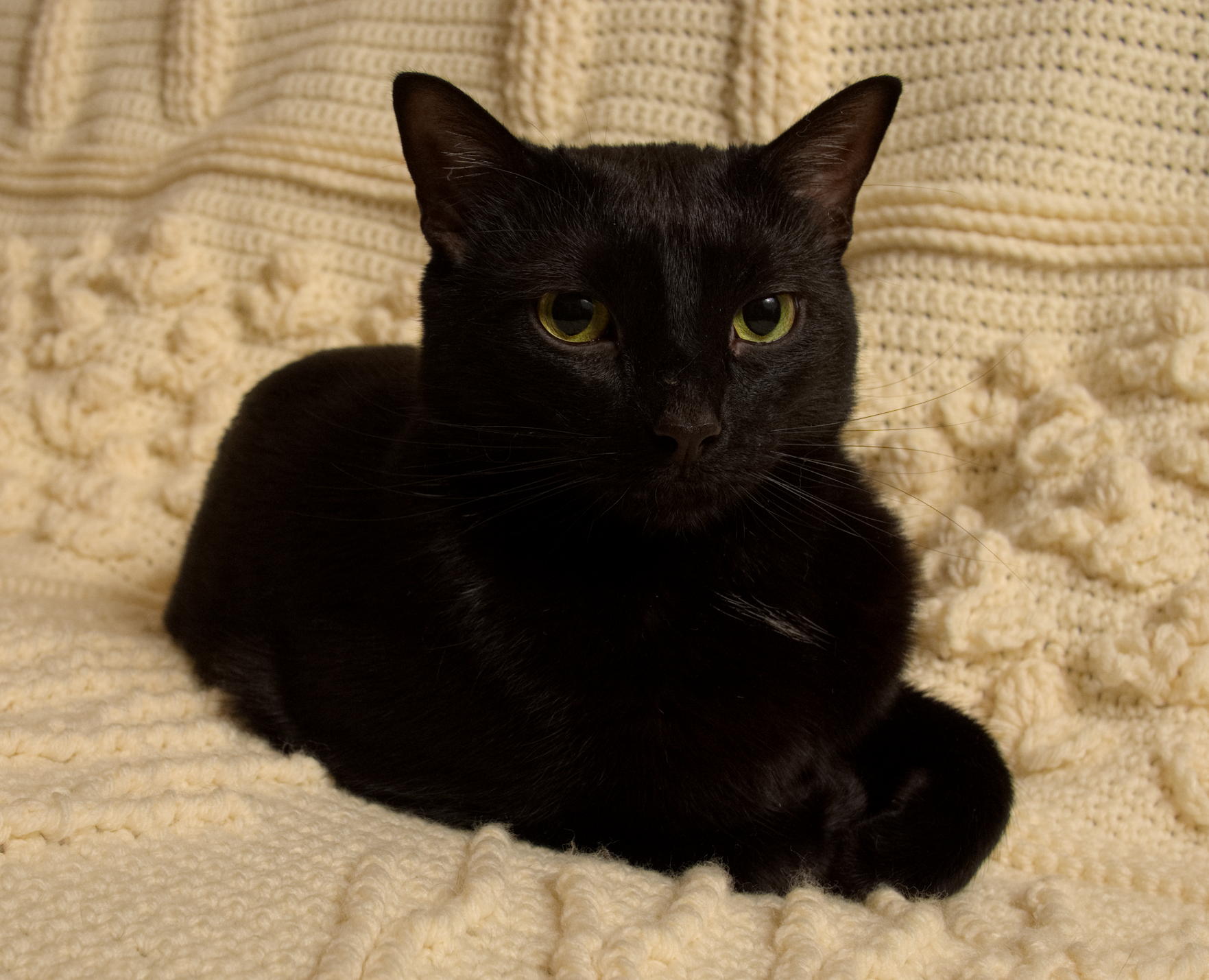 ddb 20141214 010-002