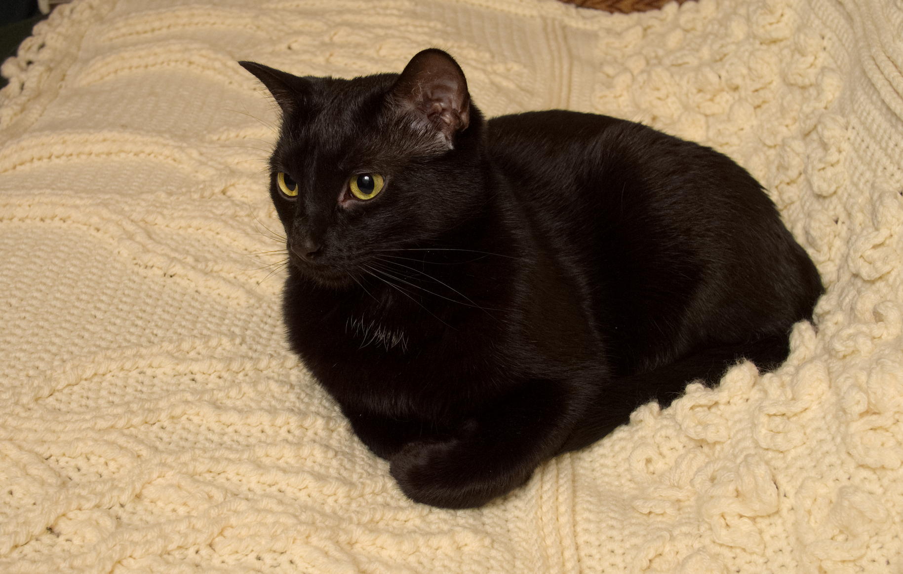 ddb 20141214 010-004