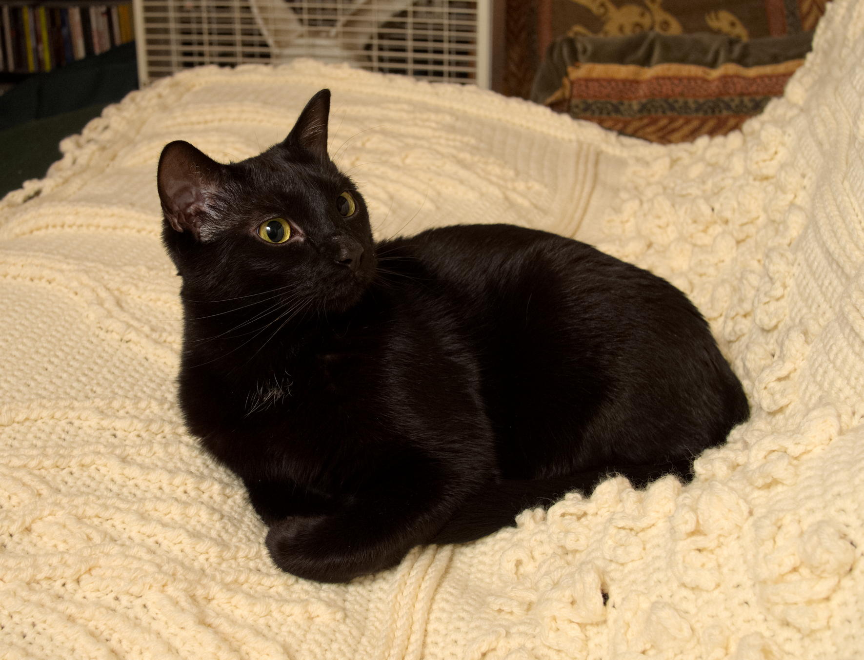 ddb 20141214 010-005