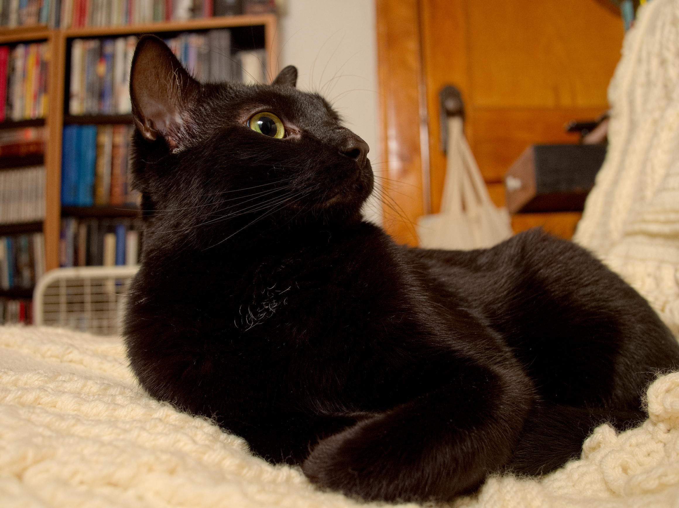 ddb 20141214 010-007