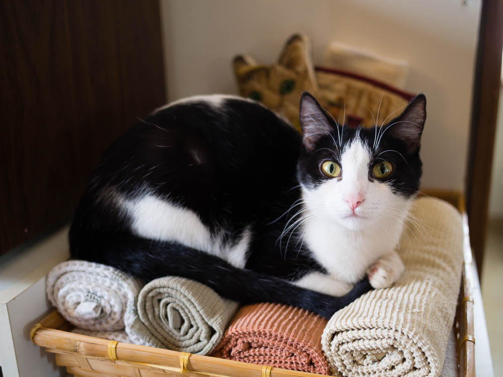 ddb 20150401 100-016