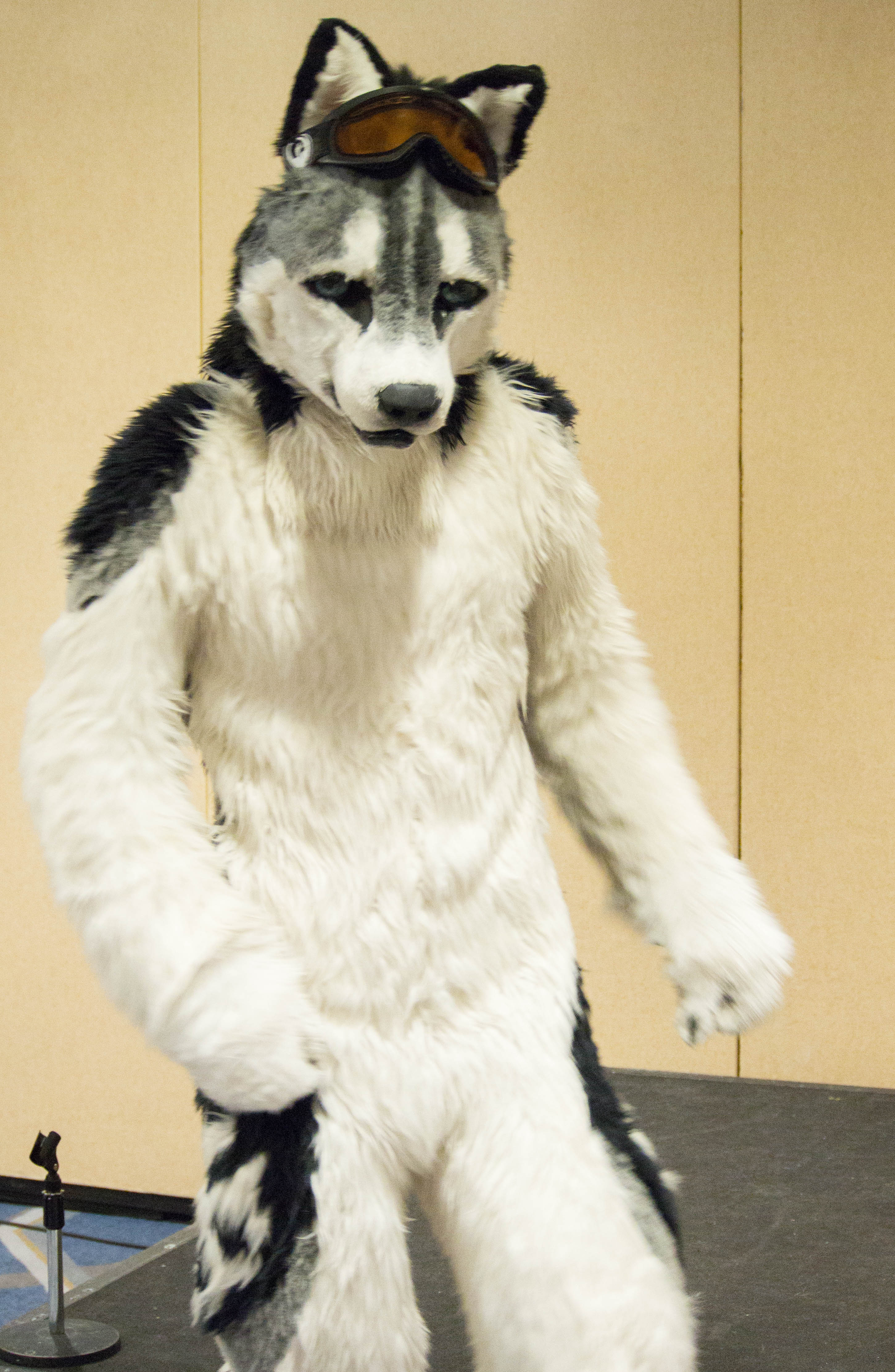 ddb 20160326 020-051