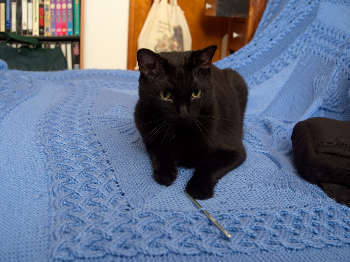 ddb 20160930 010-003