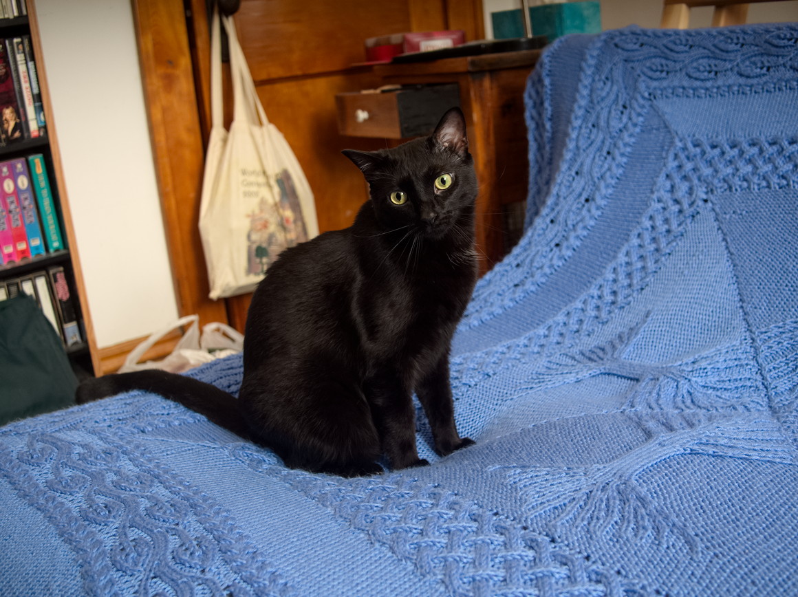 ddb 20160930 010-011