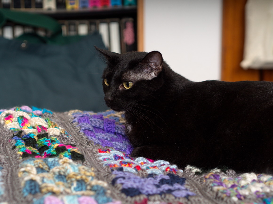 ddb 20160930 010-020