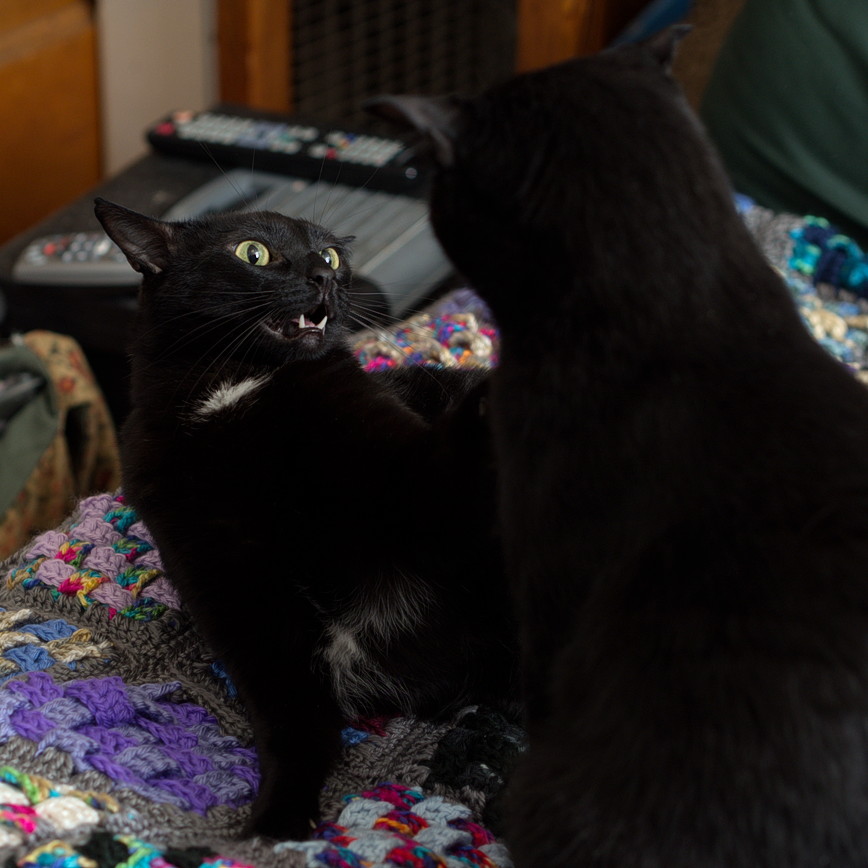 ddb 20160930 010-021