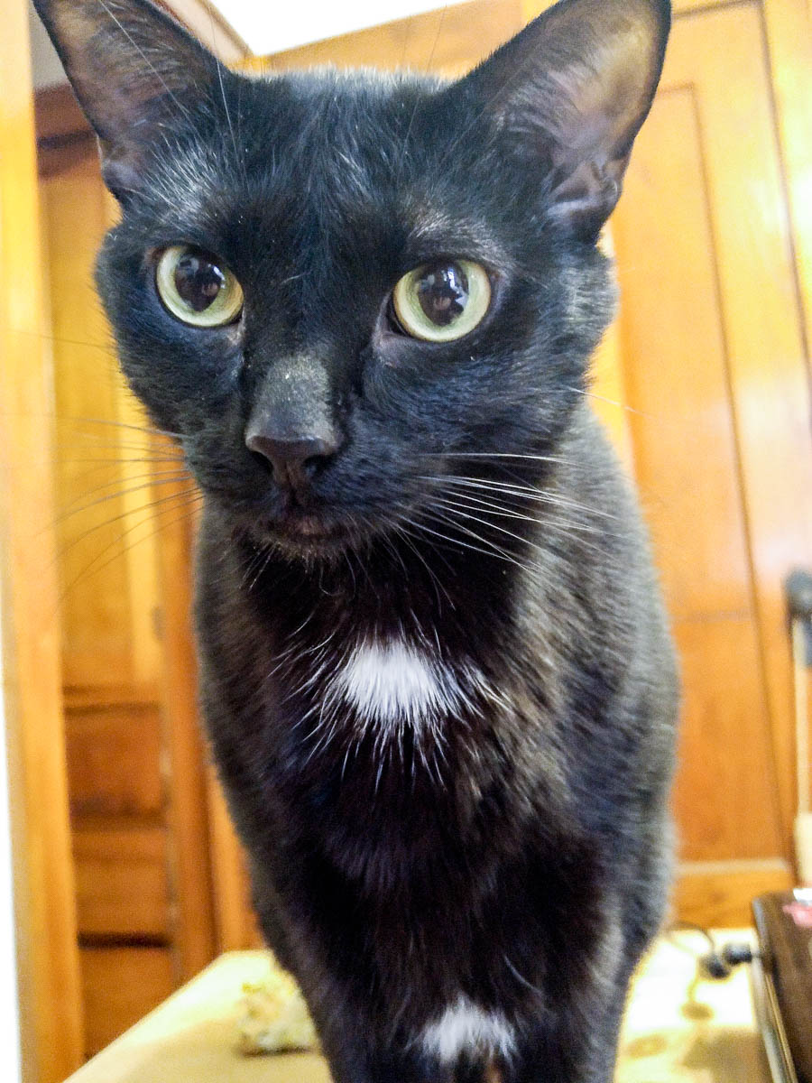 ddb 20161201 612-005