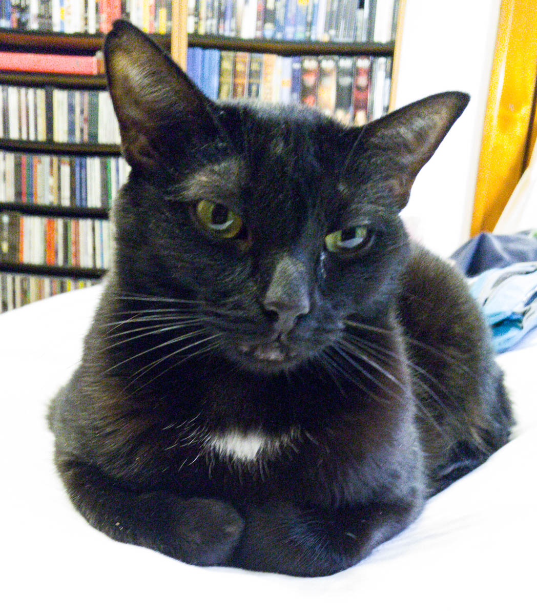 ddb 20161203 612-012