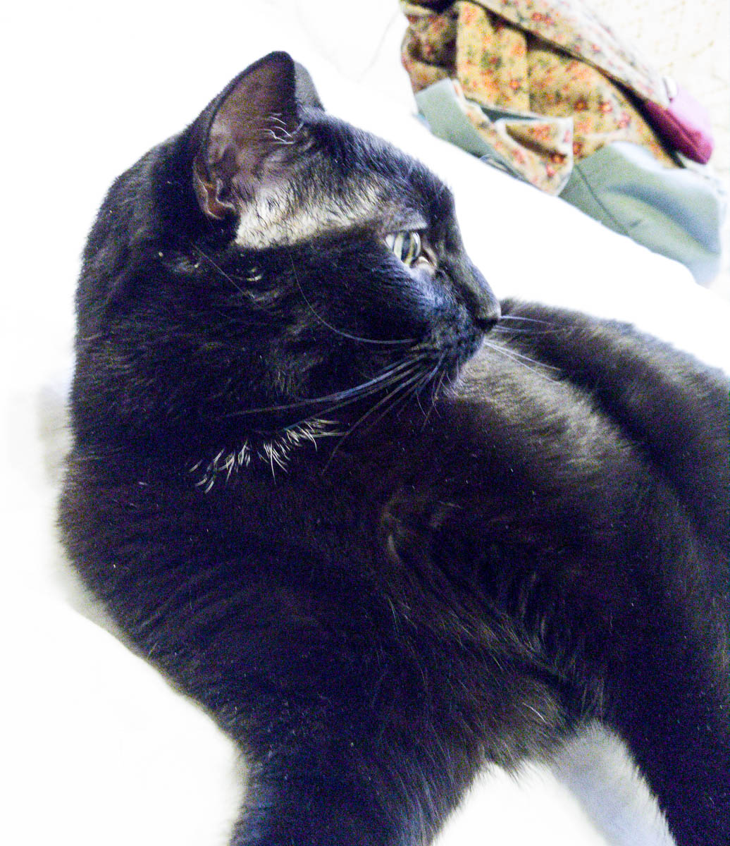 ddb 20161203 612-014