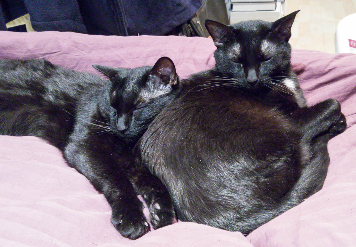 ddb 20161206 612-024