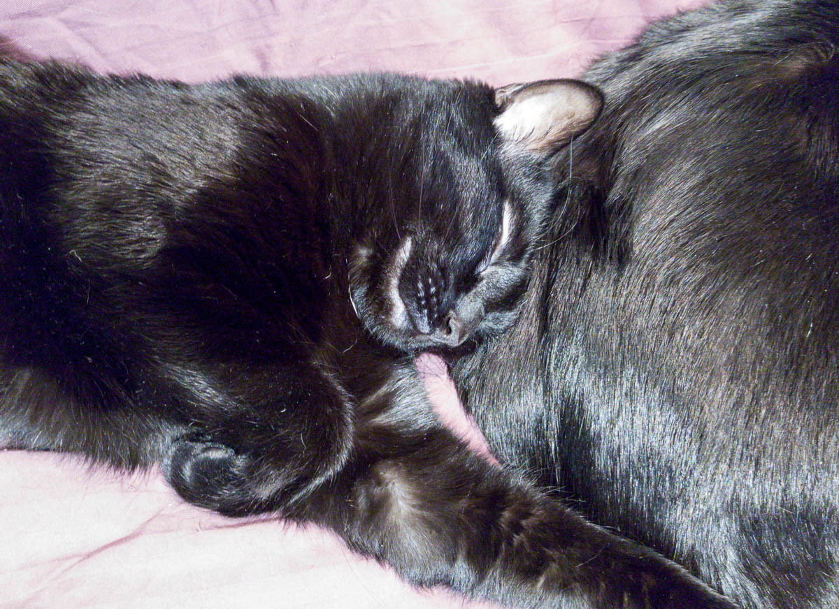 ddb 20161206 612-029