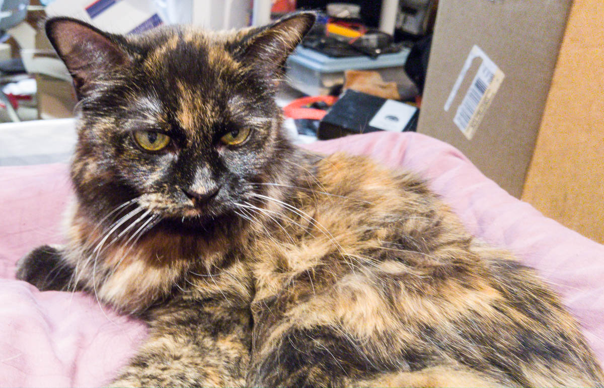 ddb 20161206 612-030