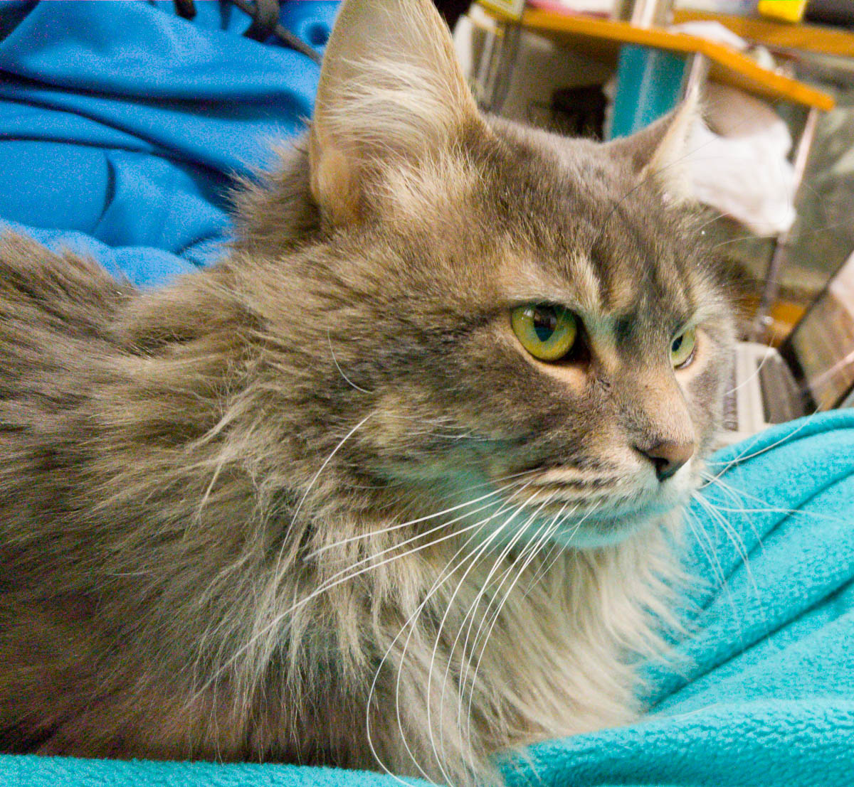 ddb 20161216 612-001