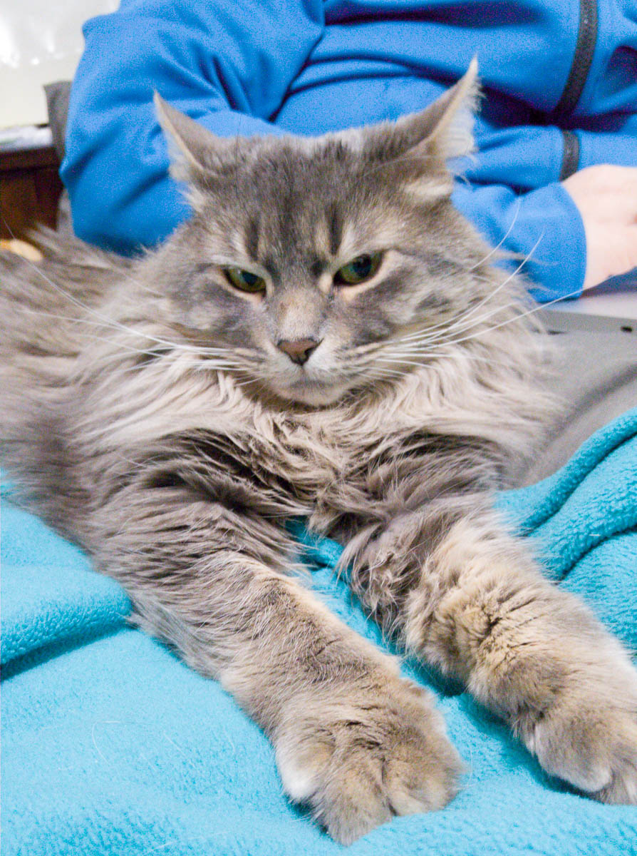 ddb 20161216 612-005