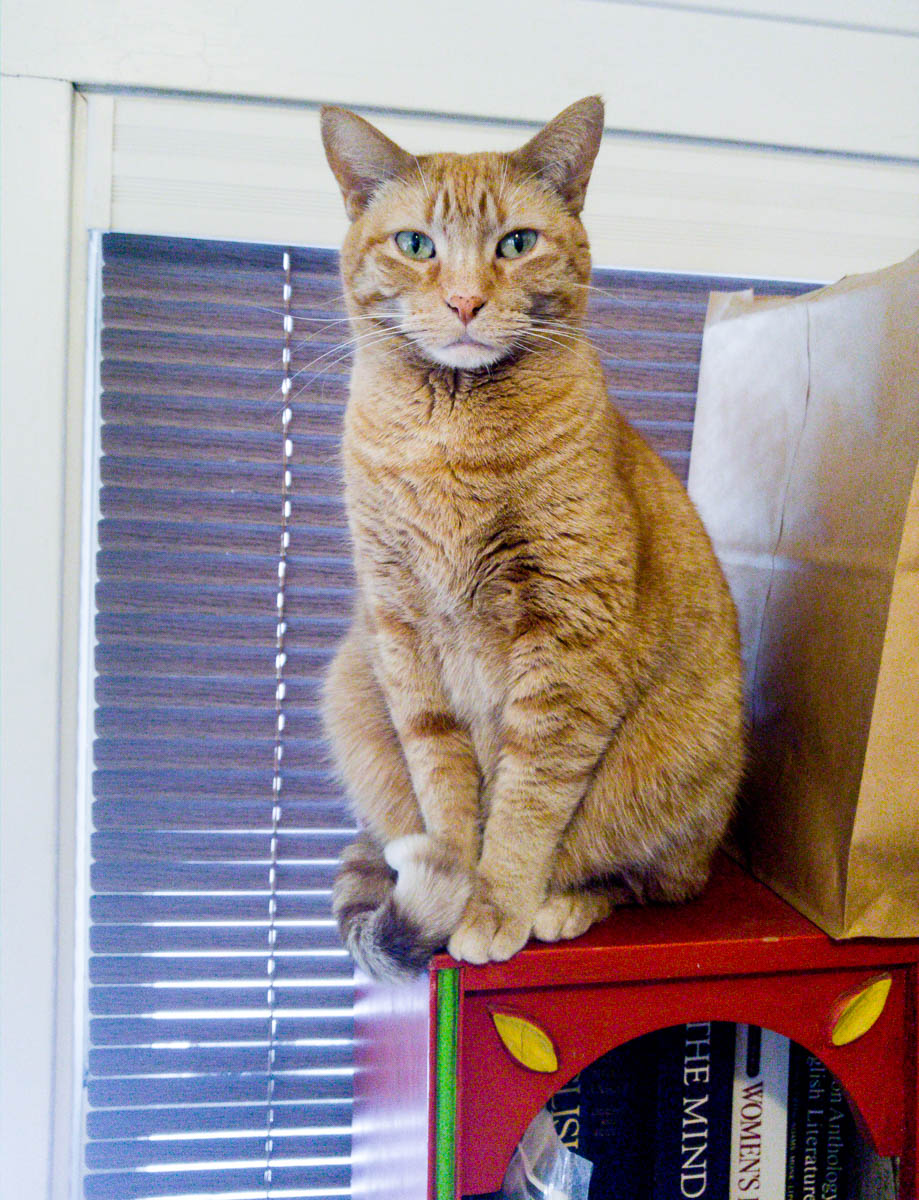 ddb 20161226 612-007