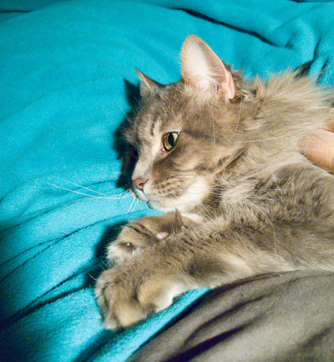 ddb 20161229 612-010