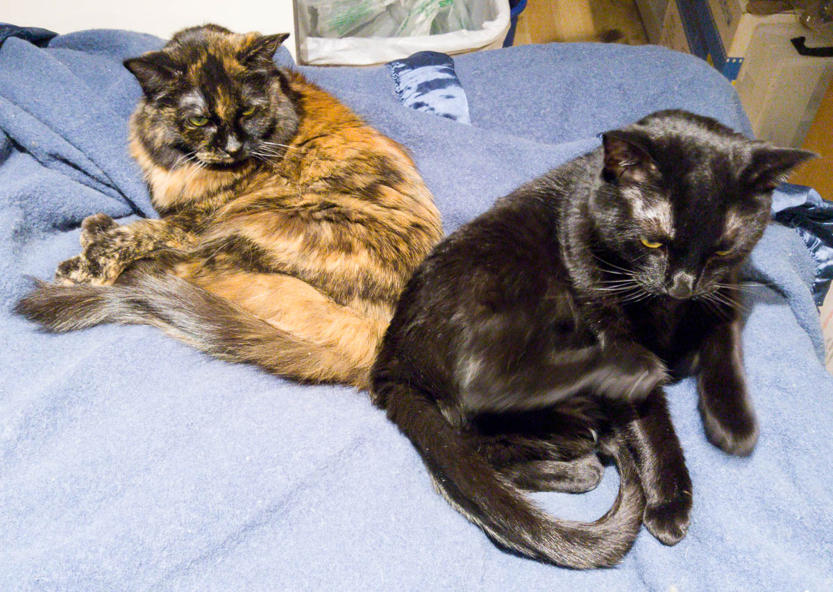 ddb 20170102 612-001