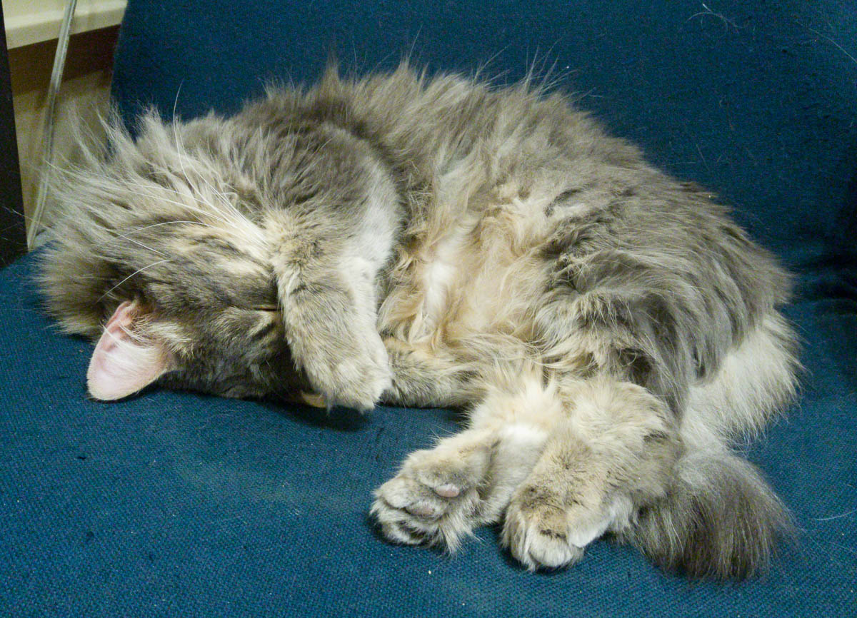 ddb 20170126 612-006