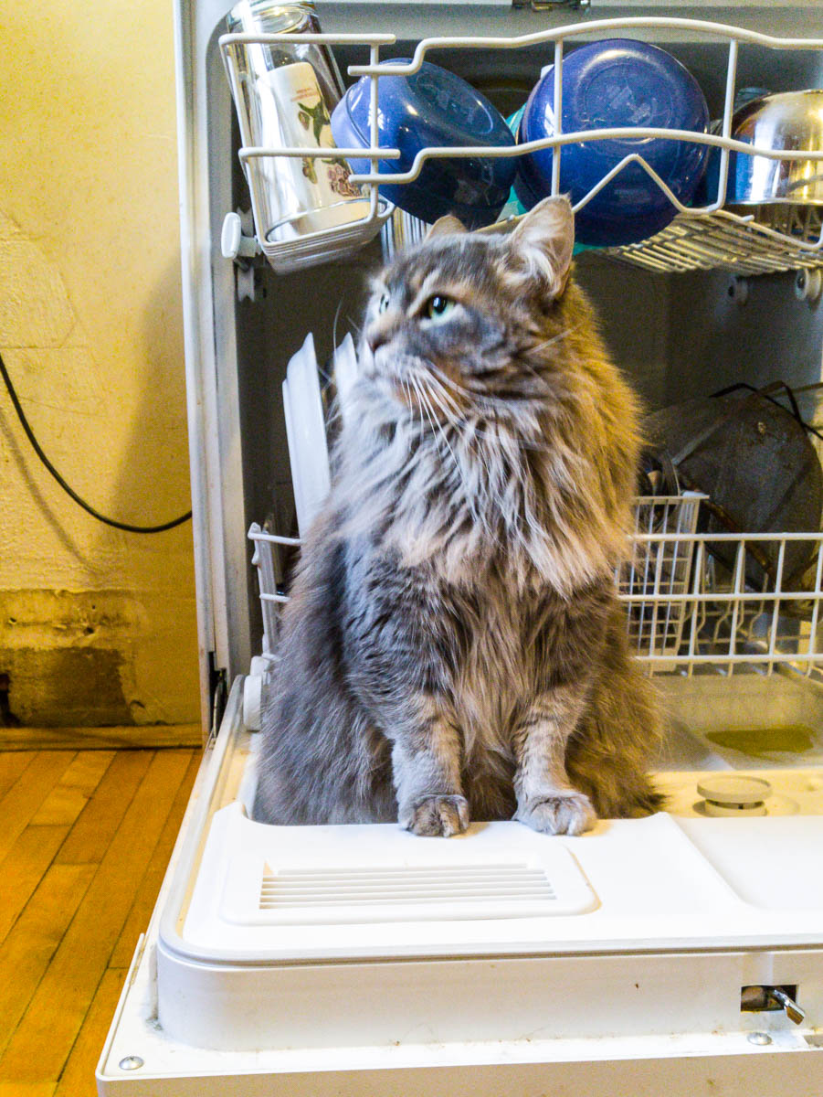 ddb 20170203 612-005