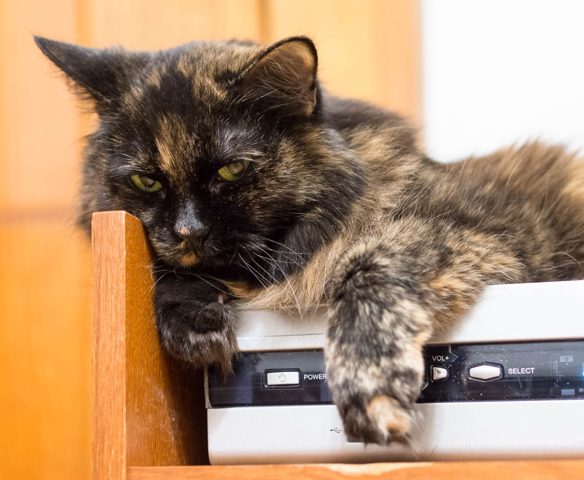 ddb 20170225 010-004