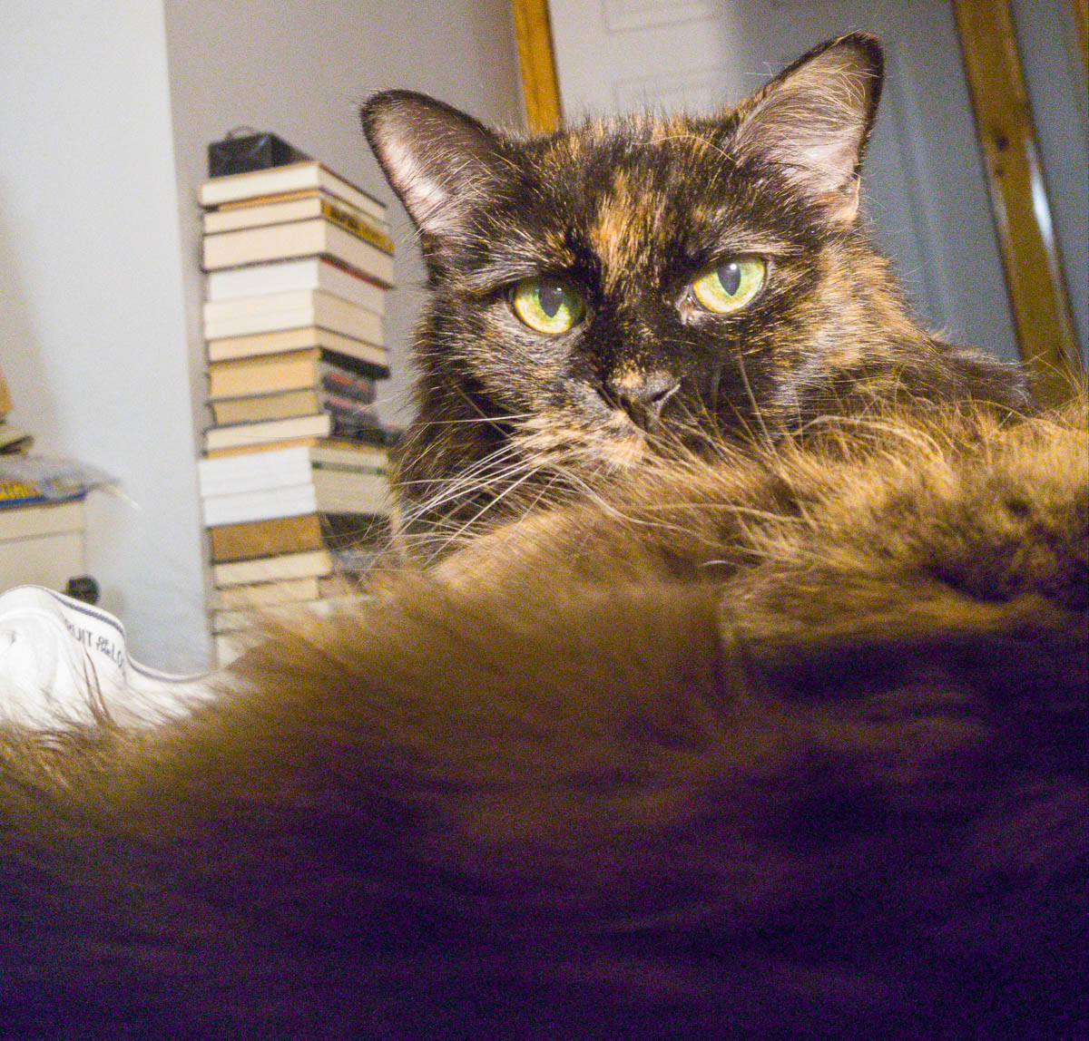 ddb 20170302 612-005