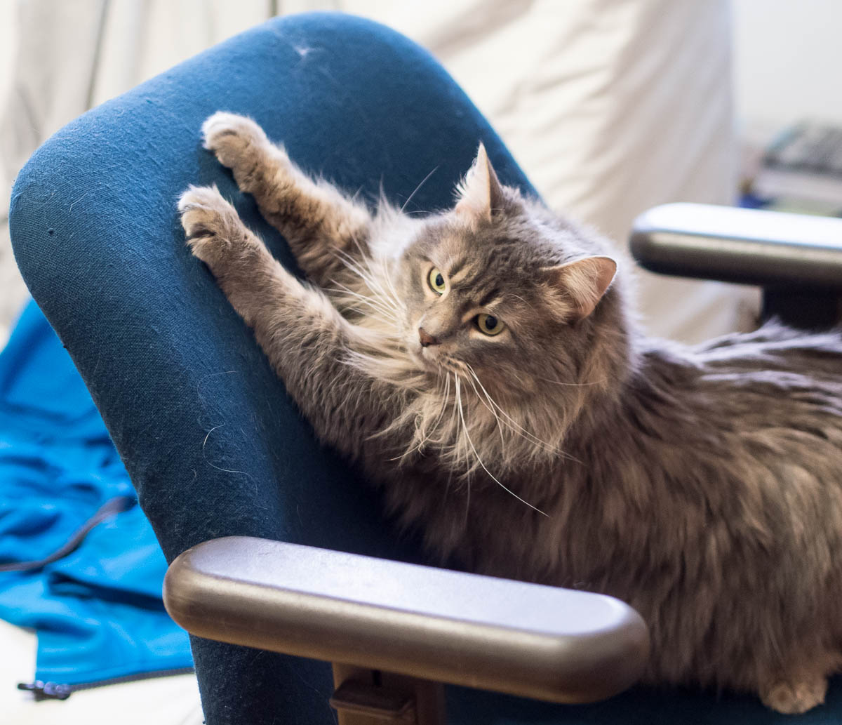 ddb 20170408 010-004