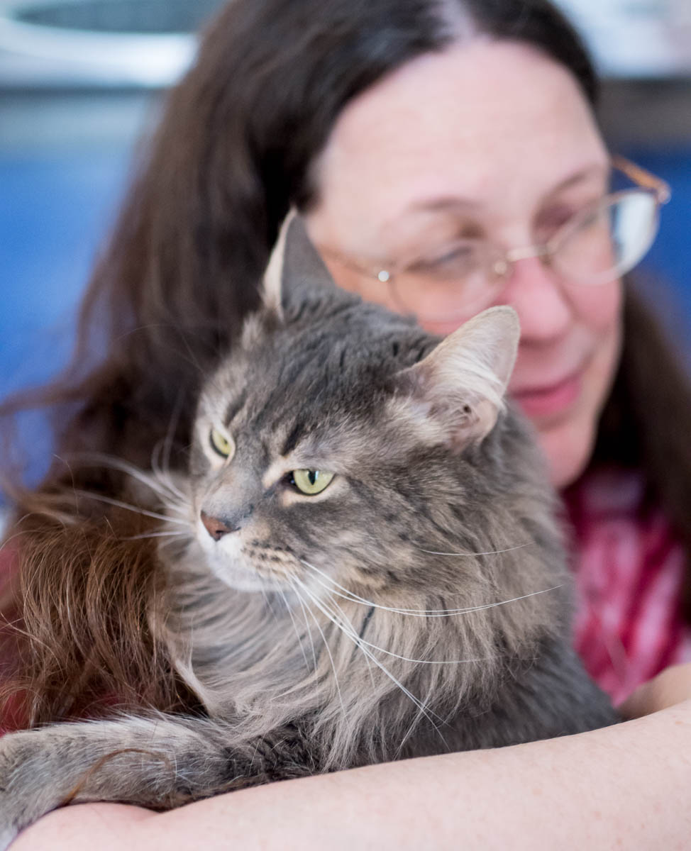 ddb 20170408 010-012