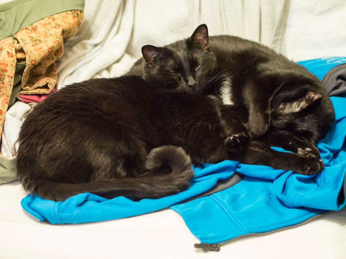 ddb 20170408 010-017