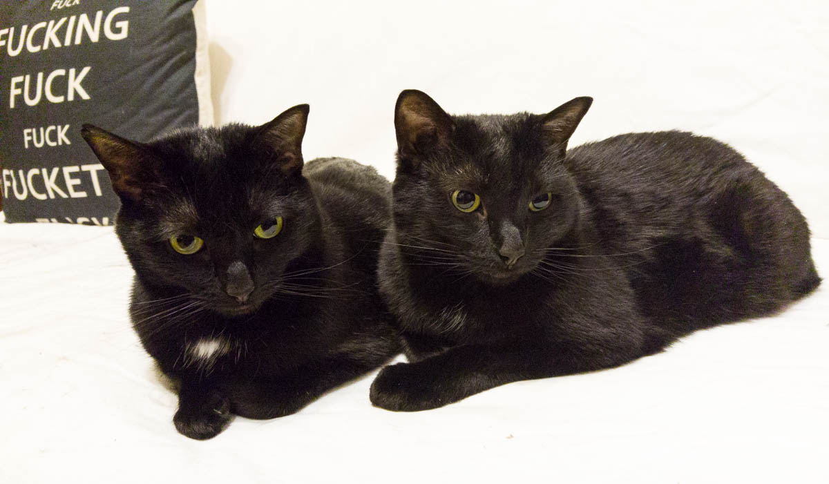 ddb 20170508 612-003