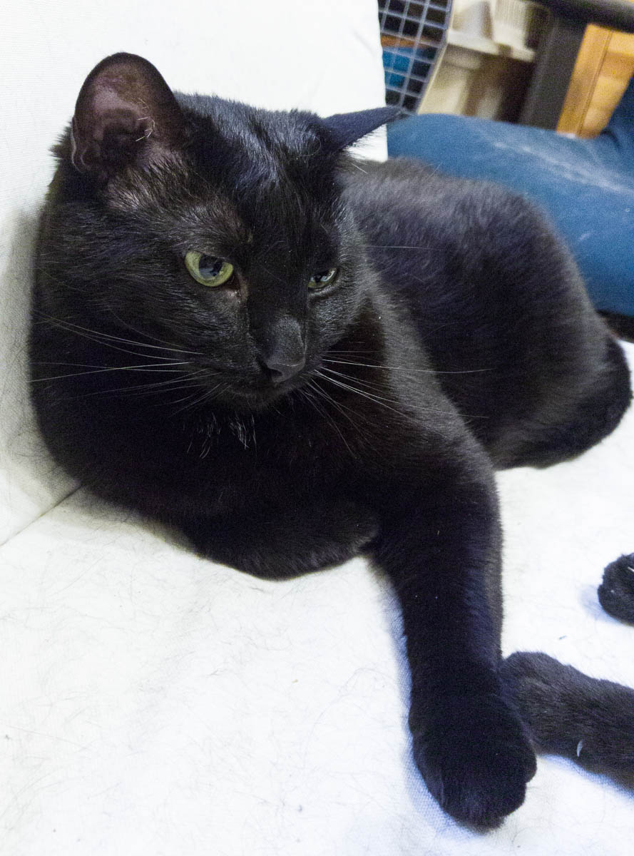 ddb 20170517 612-008