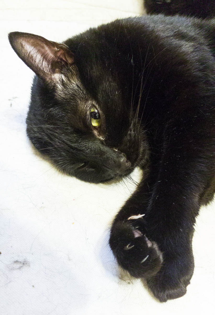 ddb 20170517 612-021