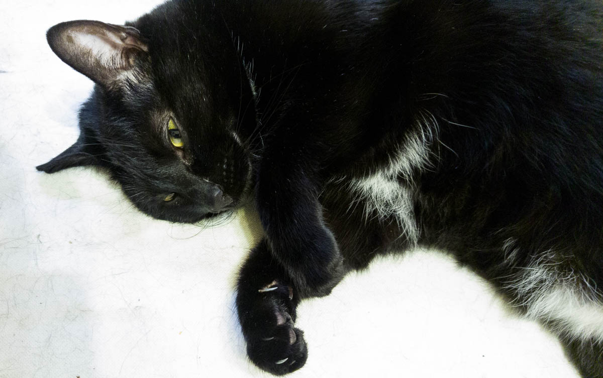 ddb 20170517 612-024