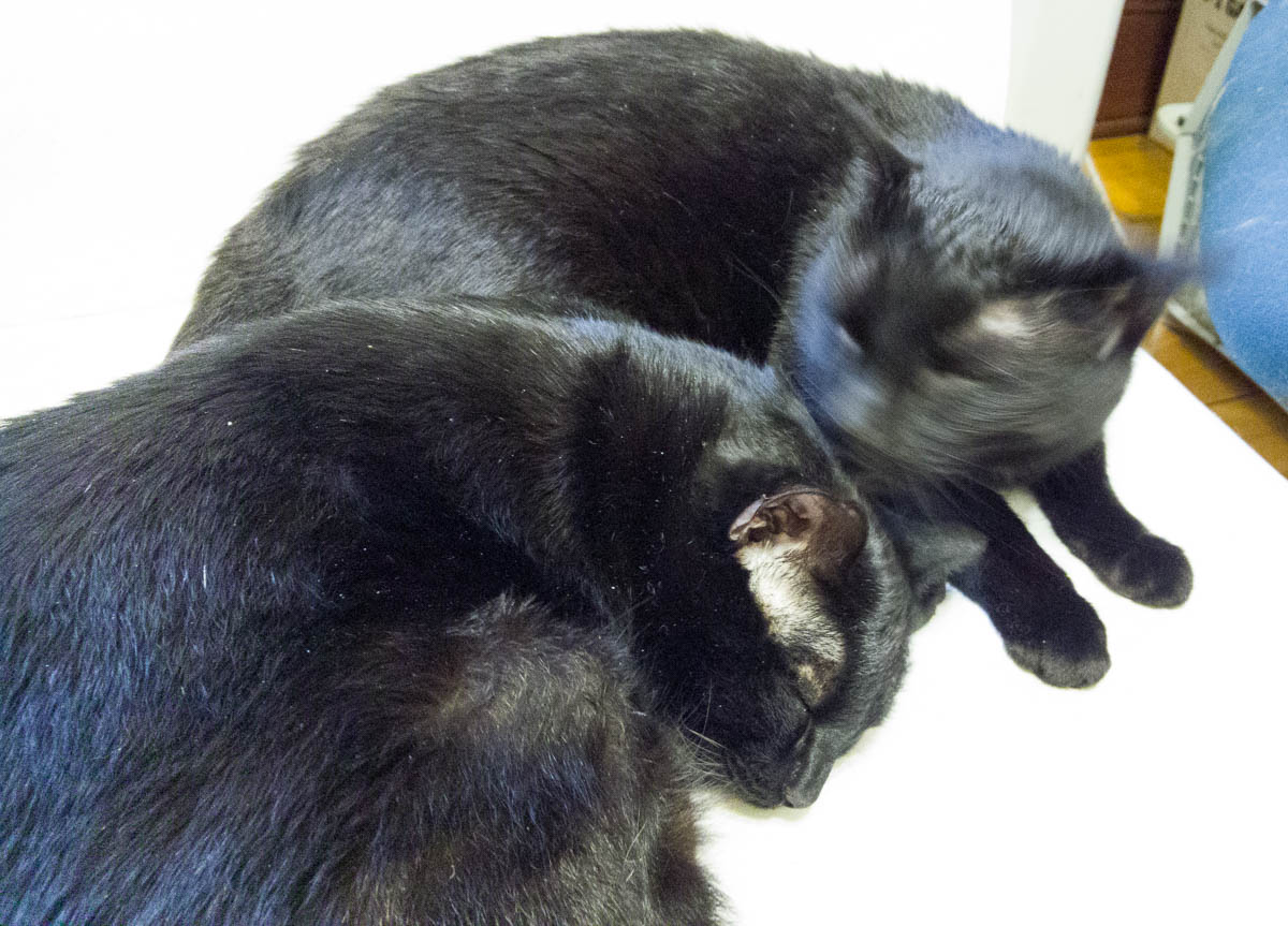 ddb 20170517 612-036