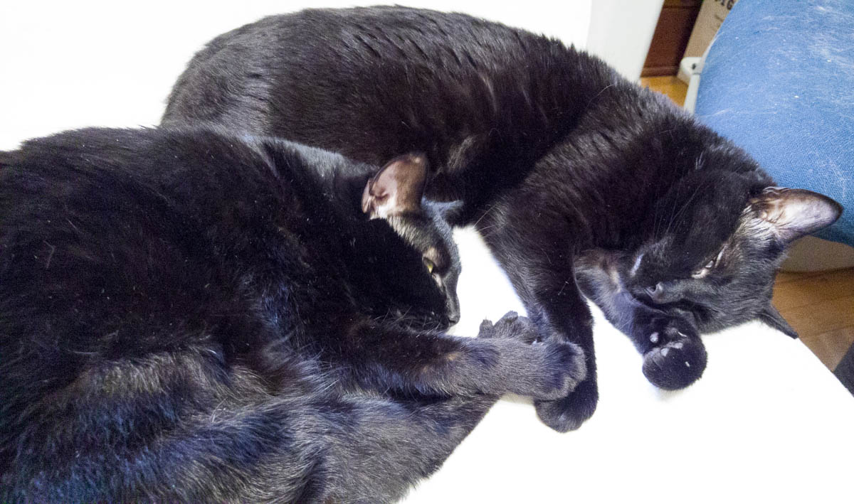 ddb 20170517 612-038