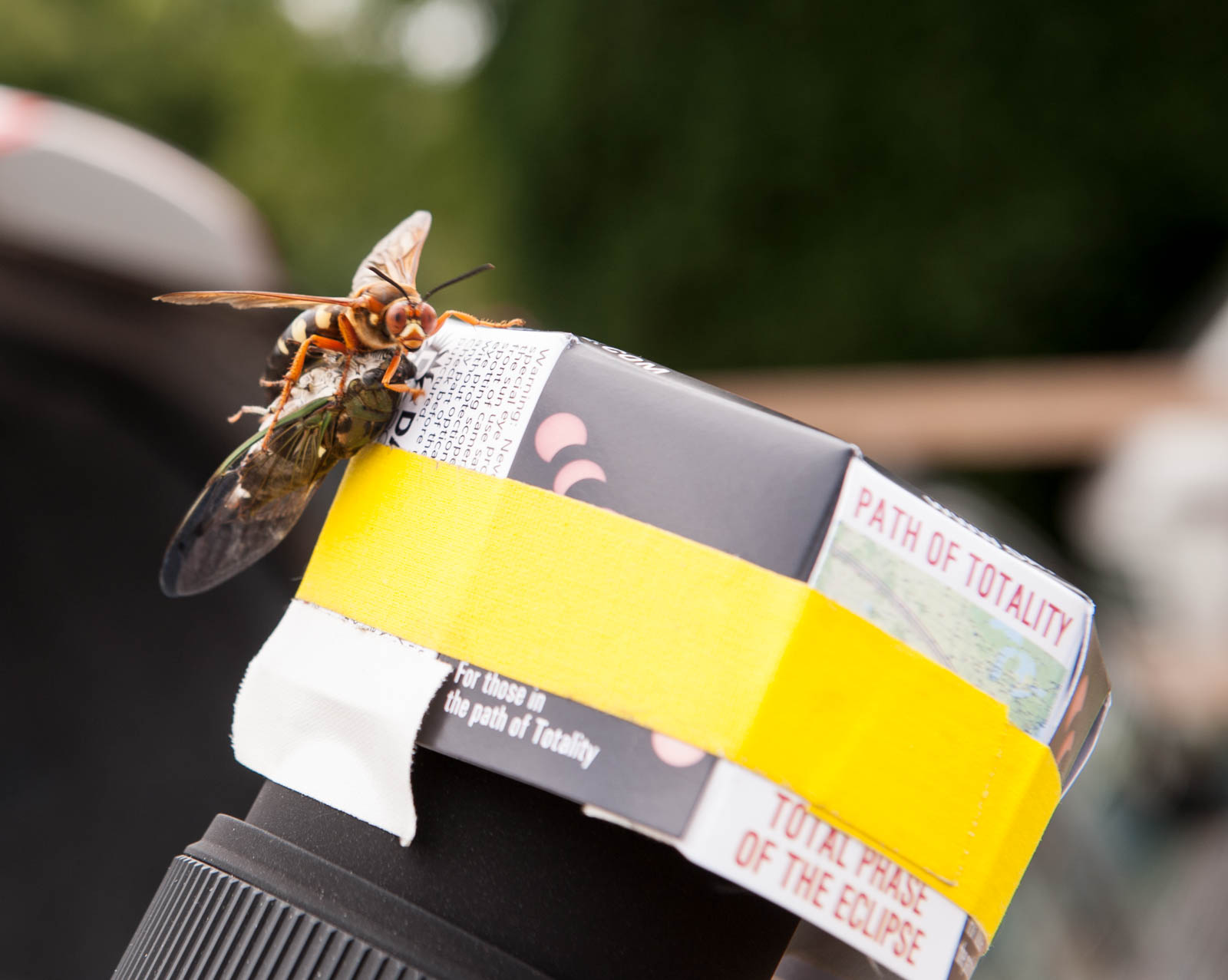 ddb 20170821 010-016