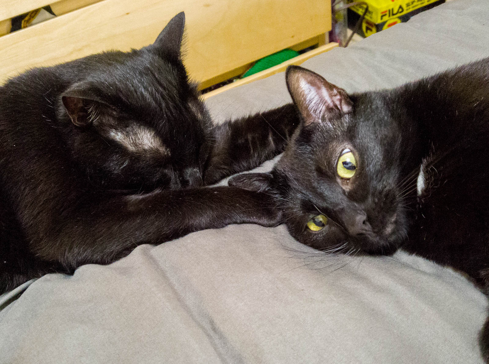 ddb 20171020 612-002