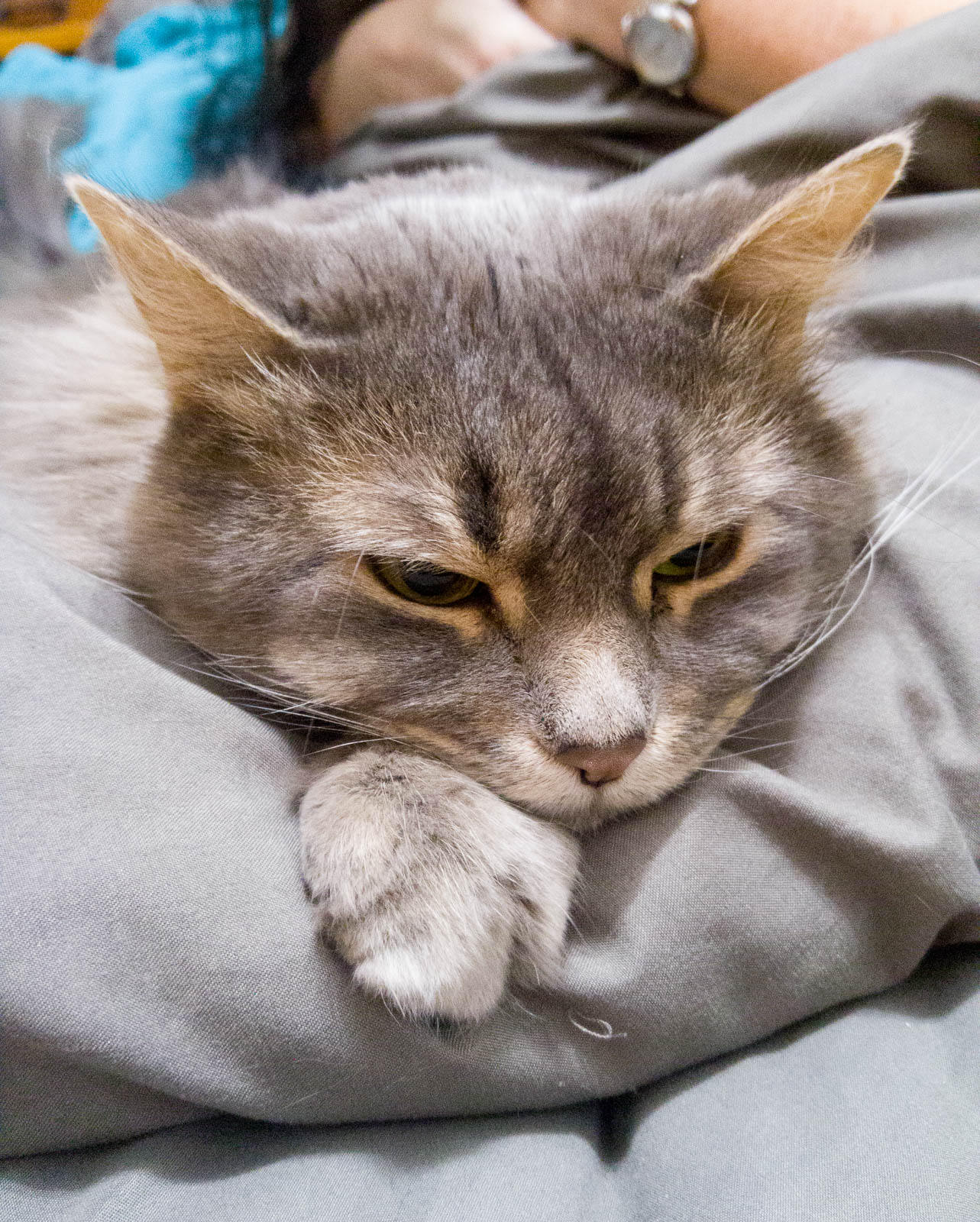 ddb 20171023 612-001