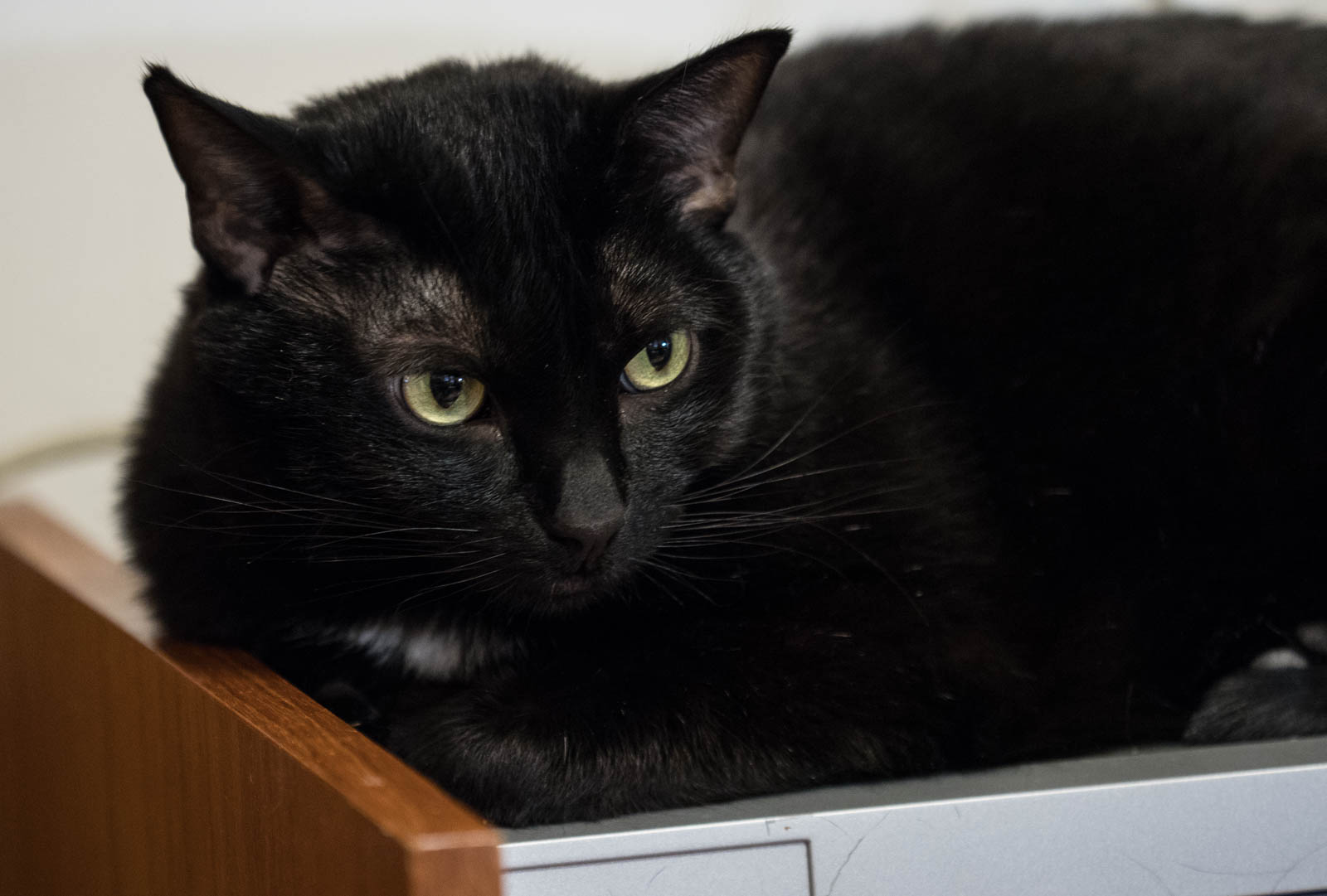 ddb 20171110 010-001