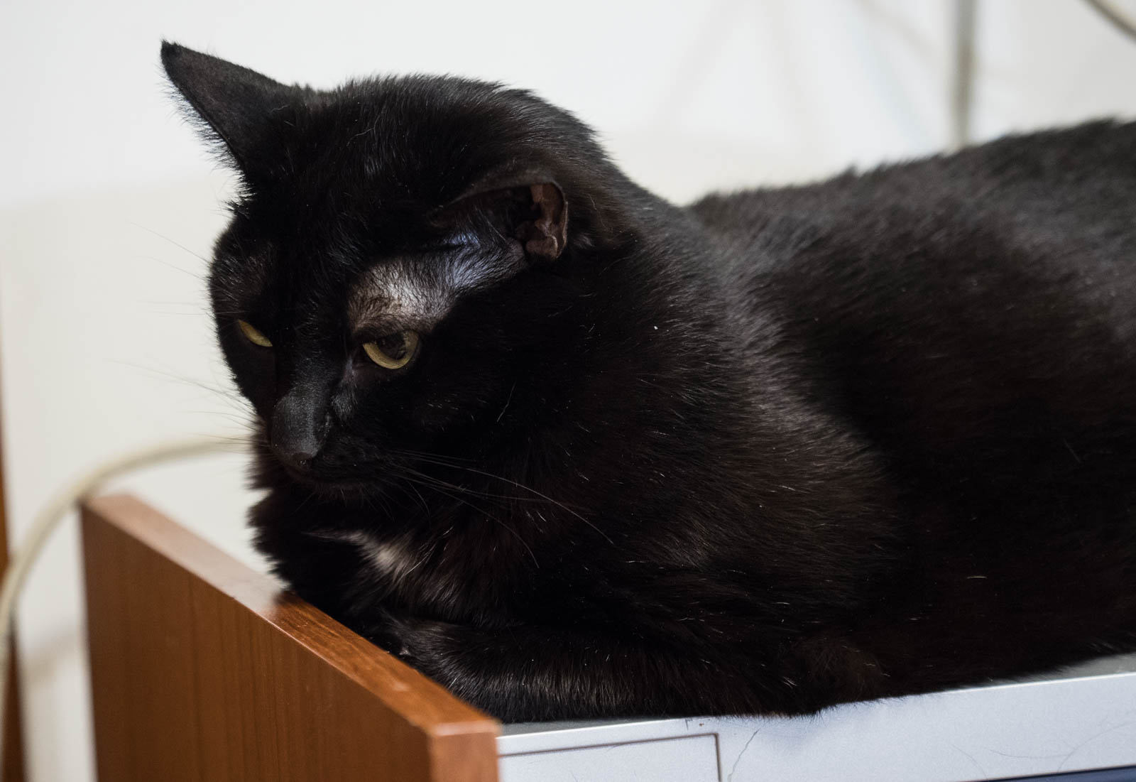 ddb 20171110 010-009