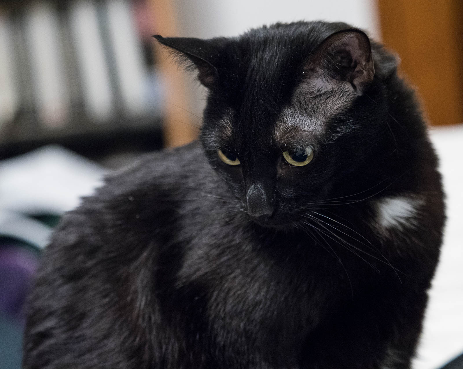 ddb 20171110 010-013