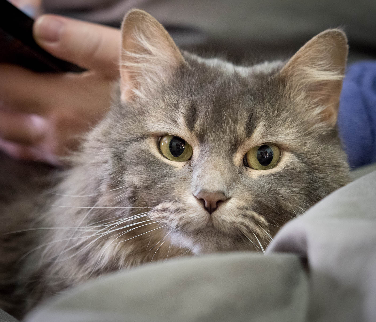 ddb 20171111 010-004