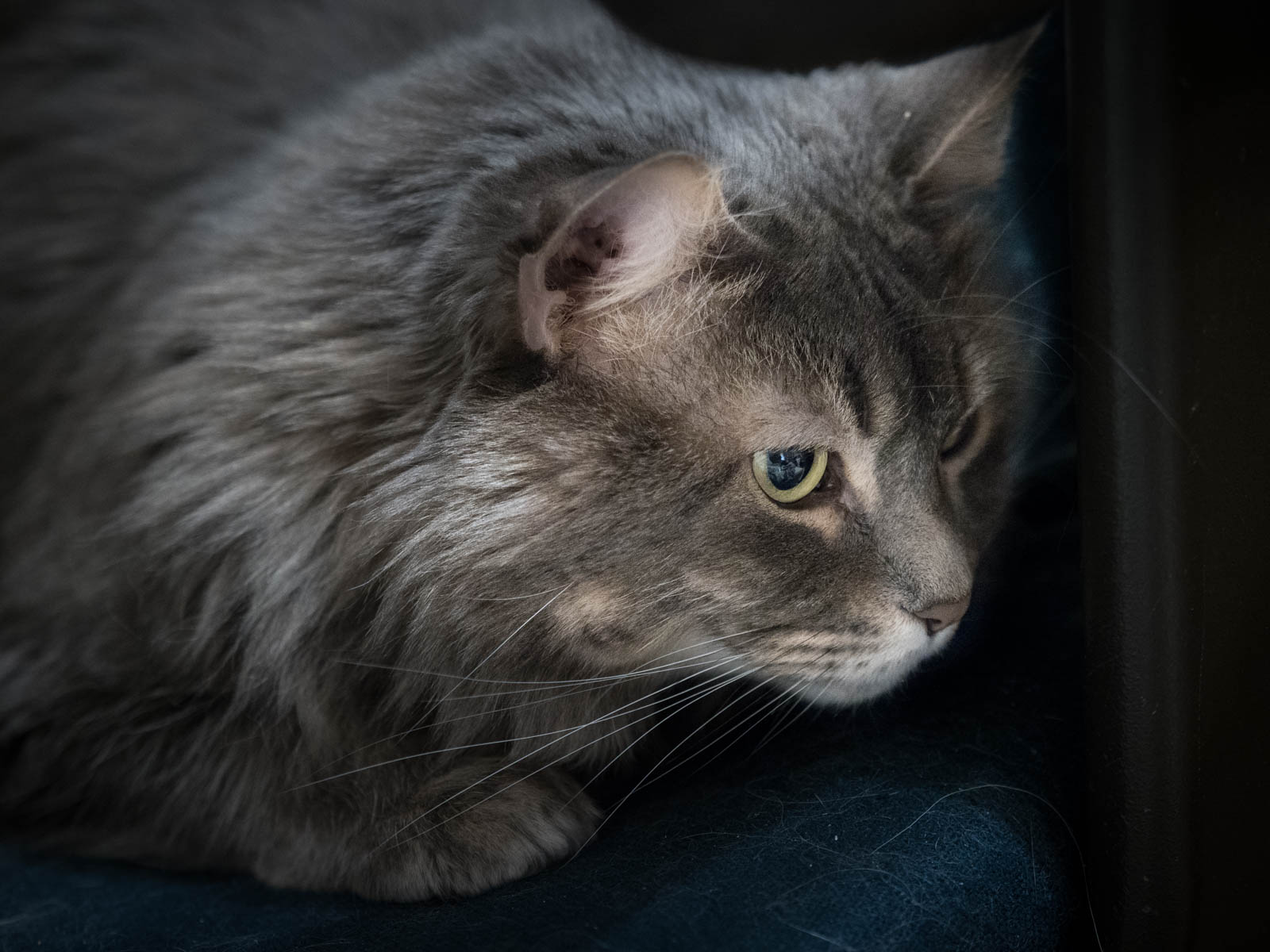 ddb 20171130 010-008