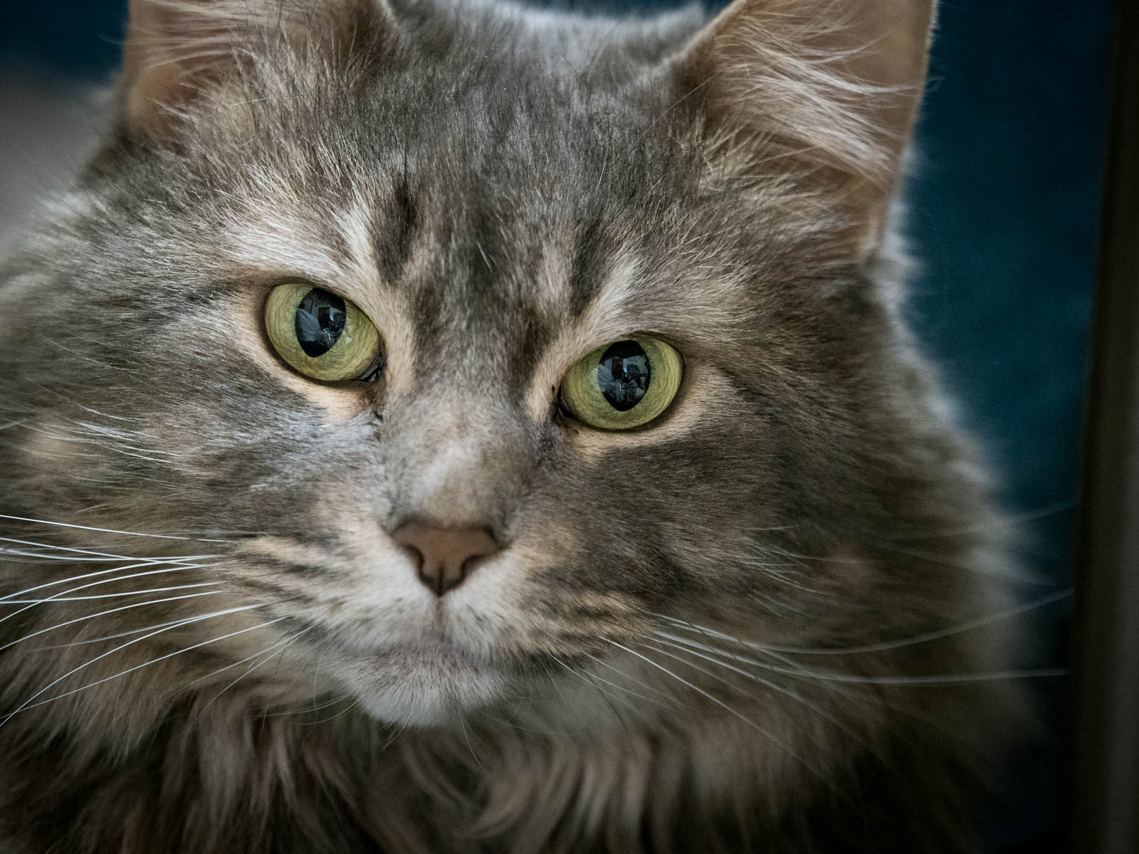 ddb 20171130 010-011