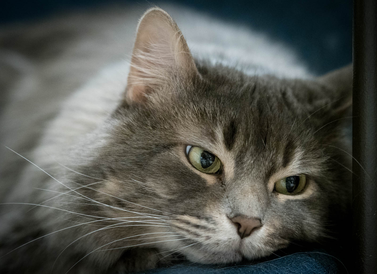 ddb 20171130 010-014