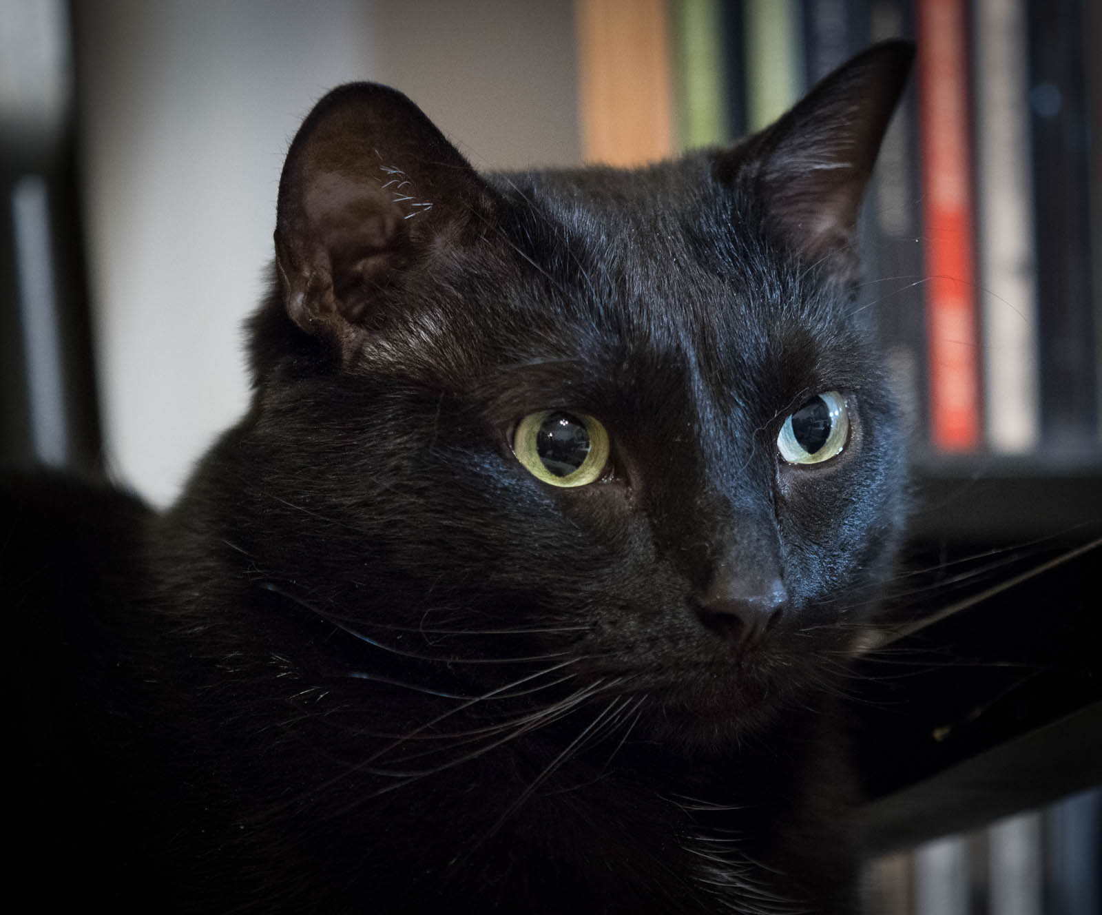 ddb 20171130 010-017